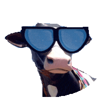 summer sunglasses STICKER by imoji