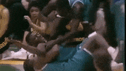 charlotte hornets GIF by NBA