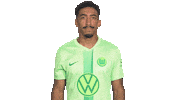 Football No Sticker by VfL Wolfsburg