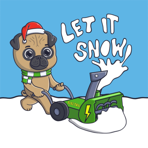 Snow Day GIF by INTO ACTION