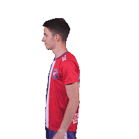 Florbal Novak Sticker by Kanonýři Kladno