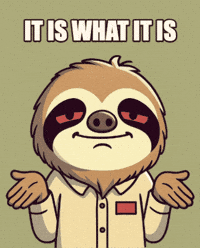 It Is What It Is Shrug GIF by Slothana