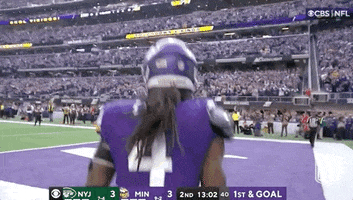 Minnesota Vikings Football GIF by NFL