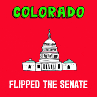 Election 2020 Flip GIF by Creative Courage