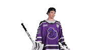 Goalie Save Sticker by Youngstown Phantoms