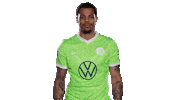 Happy Football Sticker by VfL Wolfsburg