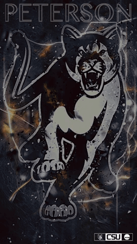 csucougars giphyupload GIF