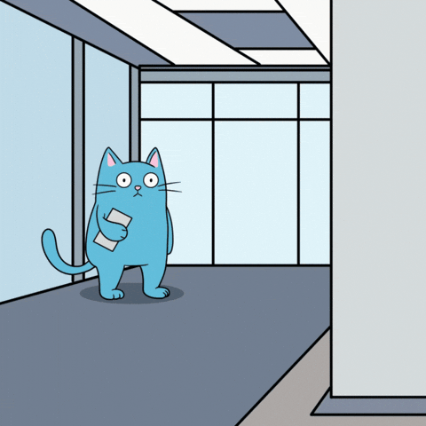 Cat Working GIF
