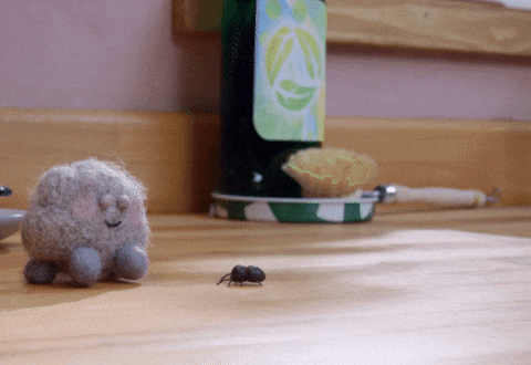 tweedyandfluff giphyupload cute animals pet GIF