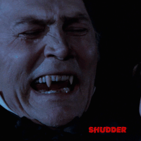 horror blood GIF by Shudder