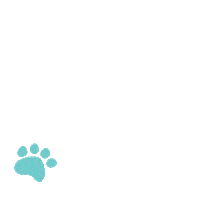 Cute Dog Paws Sticker by Barkibu