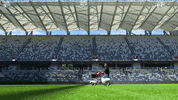 GIF by CommBank Stadium