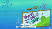 season 9 episode 24 GIF by SpongeBob SquarePants