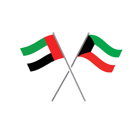 Abu Dhabi Flag Sticker by DTCM