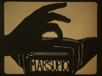 falenabalena cute italian language pun GIF