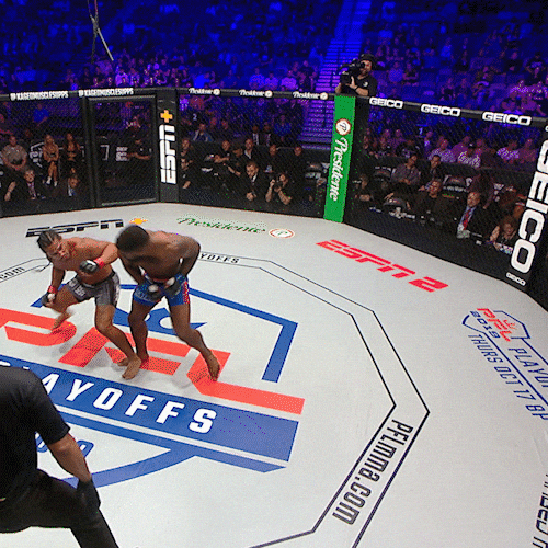 pflmma knockout mma ko espn GIF