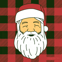 Santa Claus Christmas GIF by gifnews