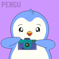 Penguin Smile GIF by Pudgy Penguins