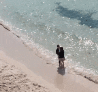 cf94ca740d894effb9dd30b4810fe757 giphyupload GIF