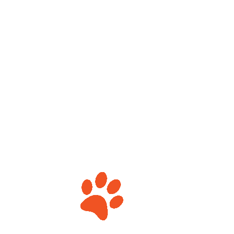 Puppy Orange Sticker by Shutterfly