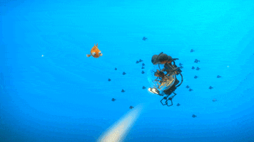 tatprod ocean sea octopus poulpe GIF