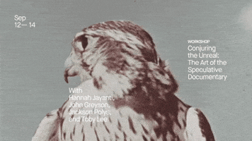 GIF by UnionDocs