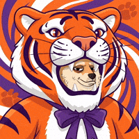 Shiba Inu Illustration GIF by Doge Pound