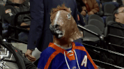 hockey ahl GIF by sarampage