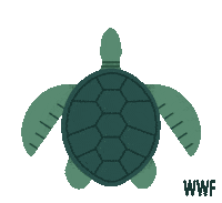 Sea Turtle Swimming Sticker by WWF_UK