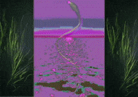 Art Beach GIF by J. Lupo Arms