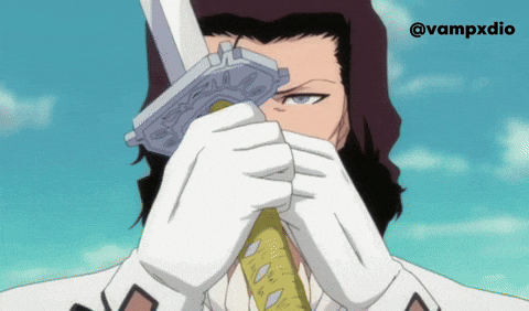 Number One Bleach GIF