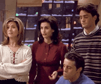 season 1 friends GIF
