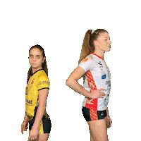 Russian Sport Sticker by cuneo_granda_volley
