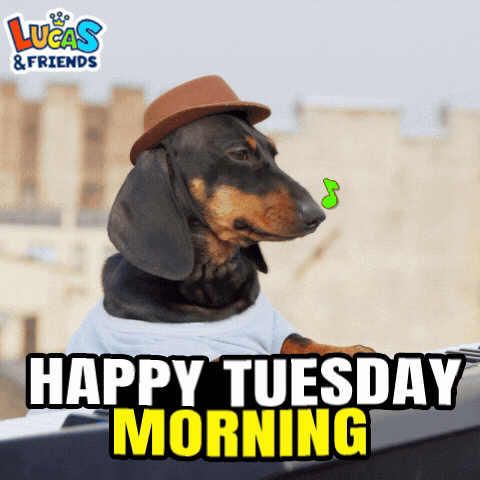 Taco Tuesday GIF by Lucas and Friends by RV AppStudios