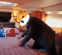 Money Crypto GIF by Baby Doge Coin