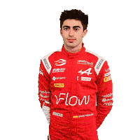 David Alpine Sticker by Prema Team