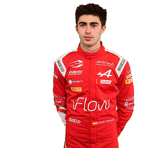 David Alpine Sticker by Prema Team