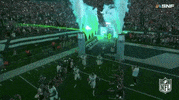 National Football League GIF by NFL