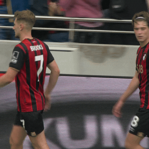 Premier League Football GIF by AFC Bournemouth