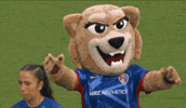 Lets Go Clap GIF by National Women's Soccer League