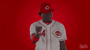GIF by Cincinnati Reds