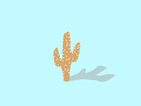 artofmadeleine giphyupload desert cactus stillness GIF