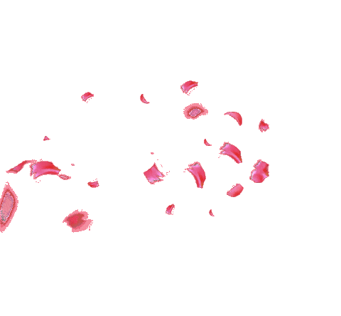 Sticker by Visita Madrid