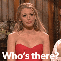 Wait What Hello GIF by Blake Lively Fan
