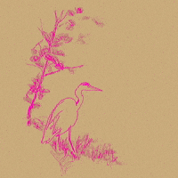 Autumn Heron GIF