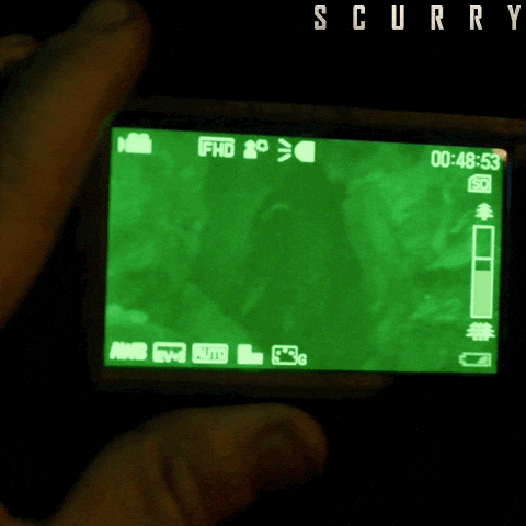 Scurry Found Footage GIF by Signature Entertainment