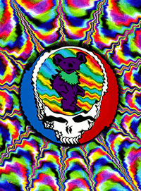 GIF by Steve Konklin