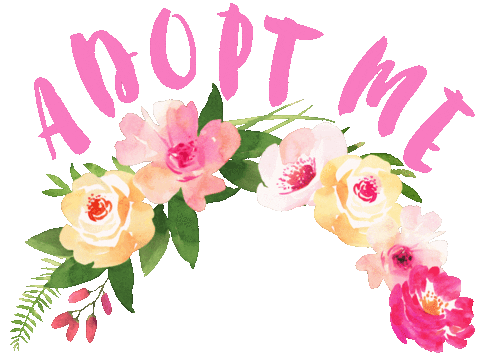 Flower Crown Adopt Me Sticker by HeARTs Speak
