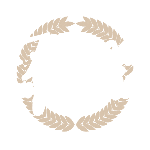 Mazzagif Sticker by Instituto Madre Mazzarello