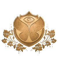 Live Today Tml2019 Sticker by Tomorrowland
